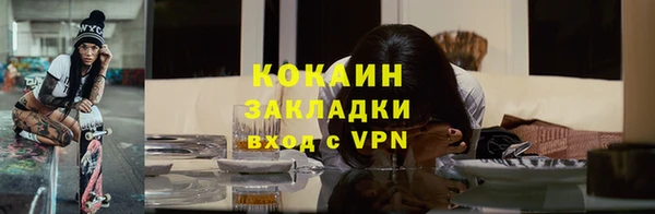 тгк Абаза