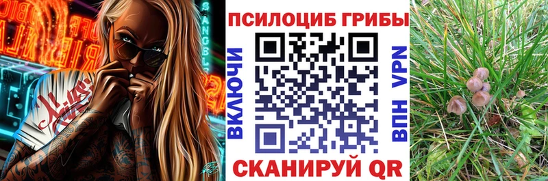 Галлюциногенные грибы MAGIC MUSHROOMS  darknet Telegram  Шумерля  что такое наркотик 