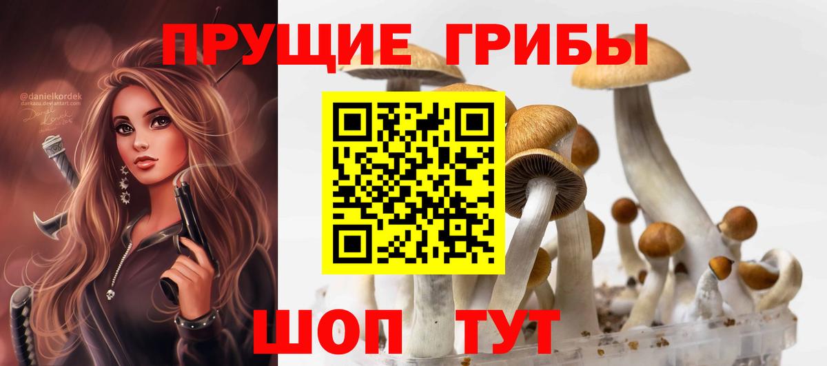 Галлюциногенные грибы мухоморы  Псилоцибиновые грибы GOLDEN TEACHER  Вход с VPN  Шумерля 