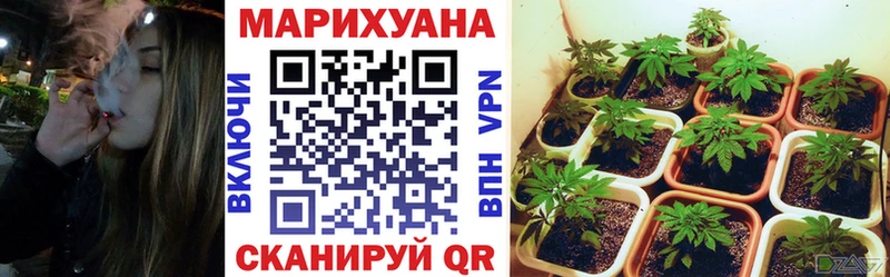 OMG как войти  что такое наркотик  Шумерля  Марихуана конопля 